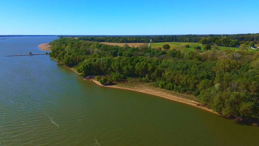 Still 2025-11-17 100017_1.49.11.jpeg